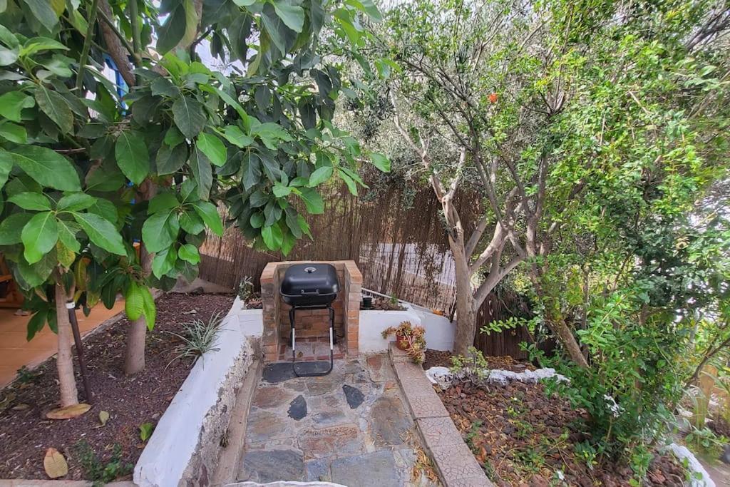 Casa Mimosa With Private Pool & Garden