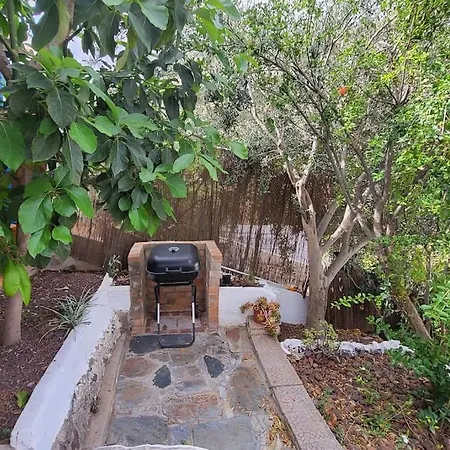 Villa Casa Mimosa With Private Pool & Garden Agaete  Esterno foto