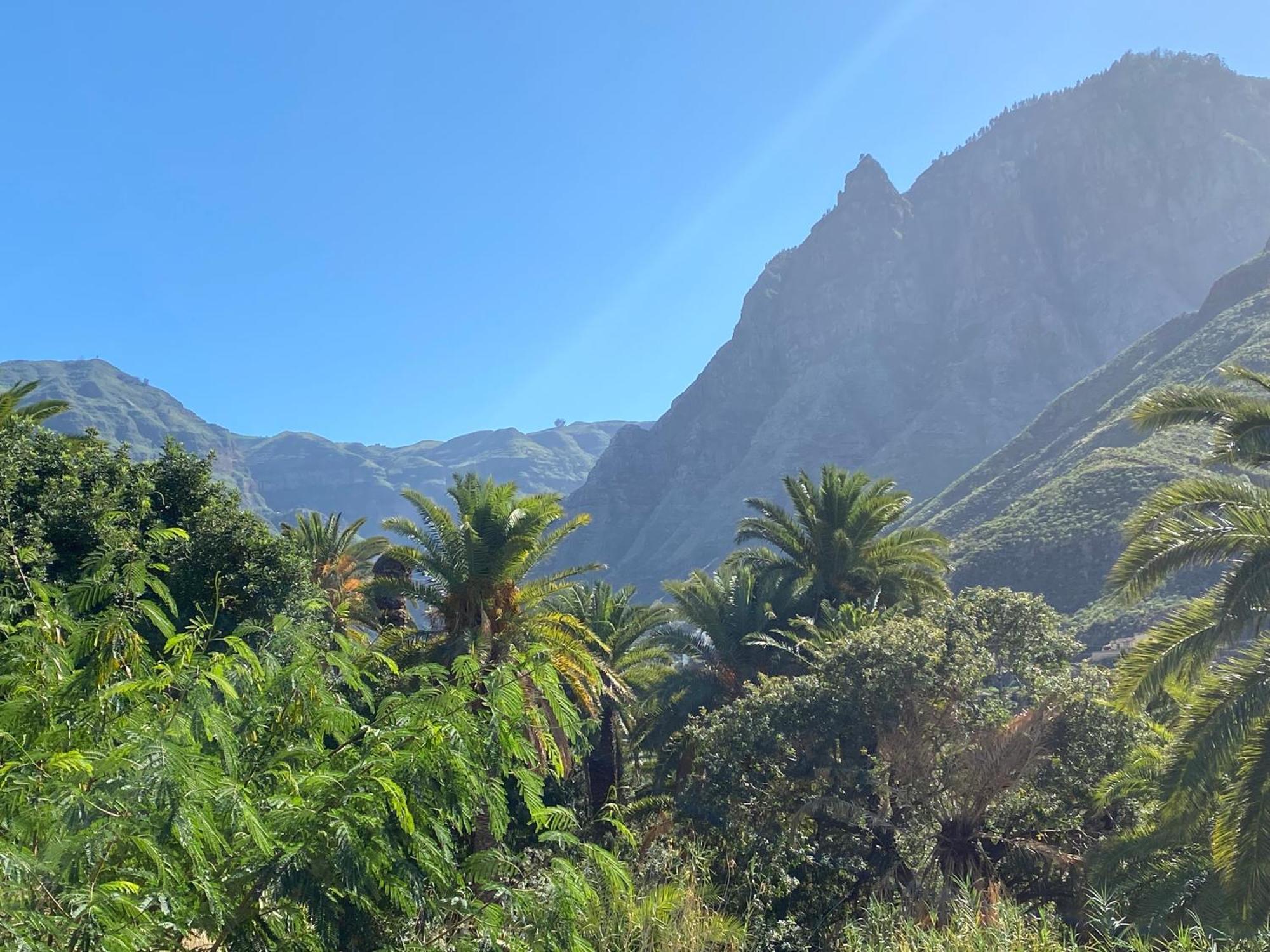 Casa Mimosa With Private Pool & Garden Agaete (Gran Canaria)